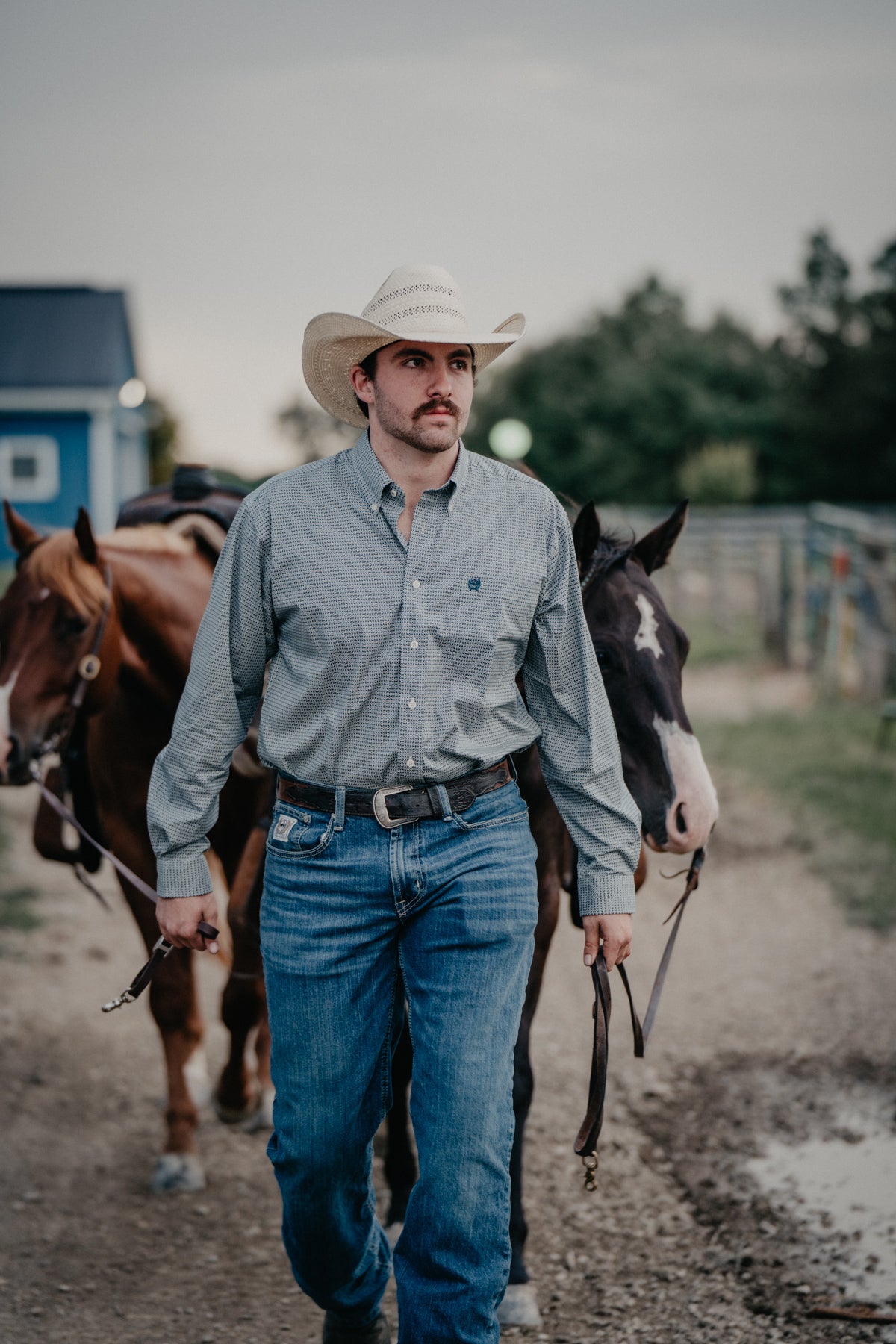 'Harley' Men's CINCH Long Sleeve Teal Button Down (S-XXL)