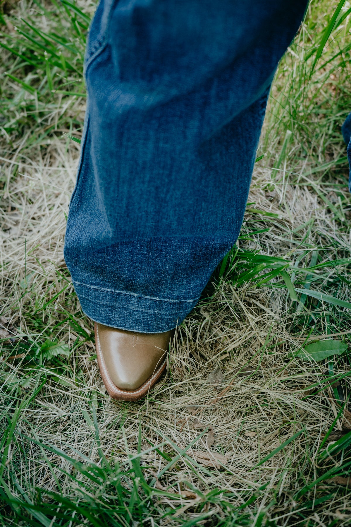 'Vera' High Rise Slim Trouser by Ariat (24-34)