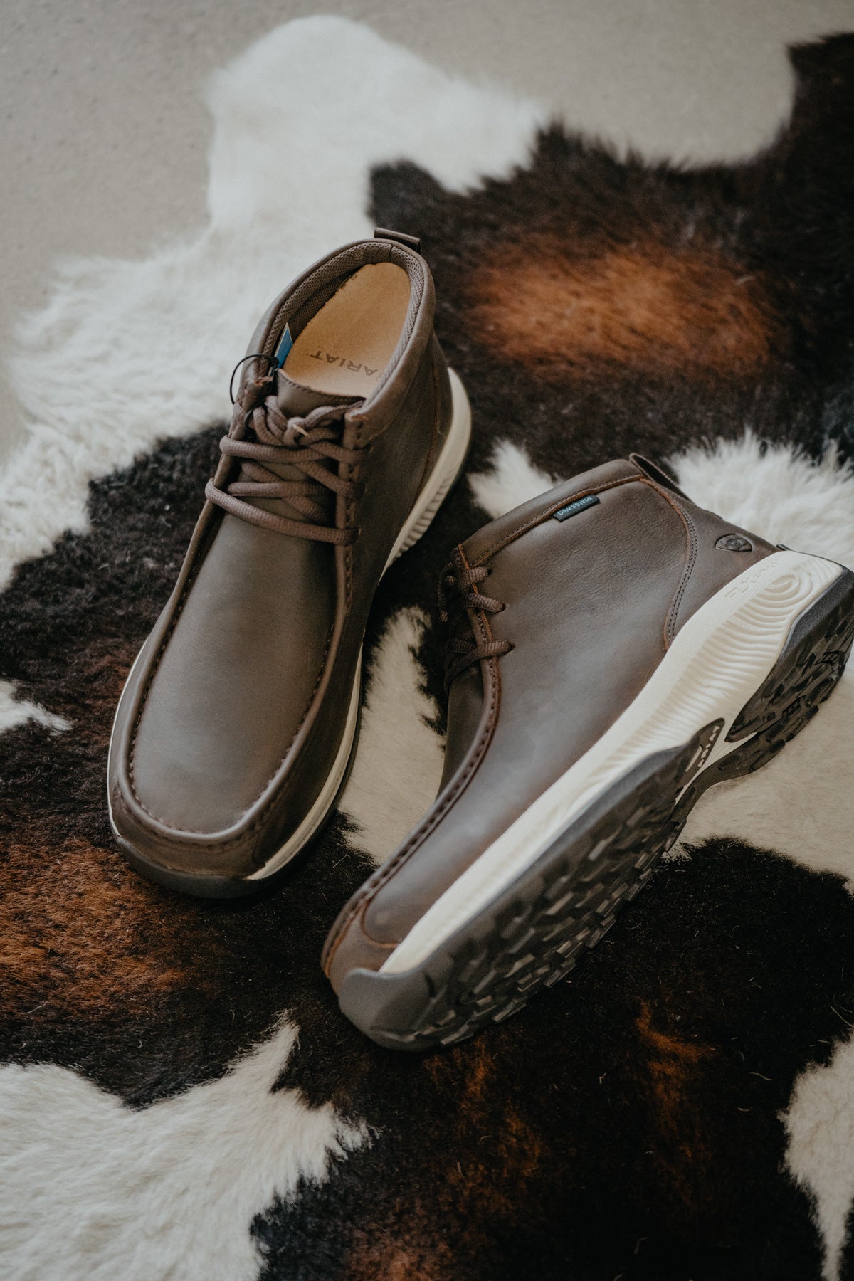 NEW ARIAT men\'s spitfire all terrain waterproof shoe in dark coffee ARIAT MENS SPITFIRE ALL TERRAIN WESTERN BROWN  main image 2