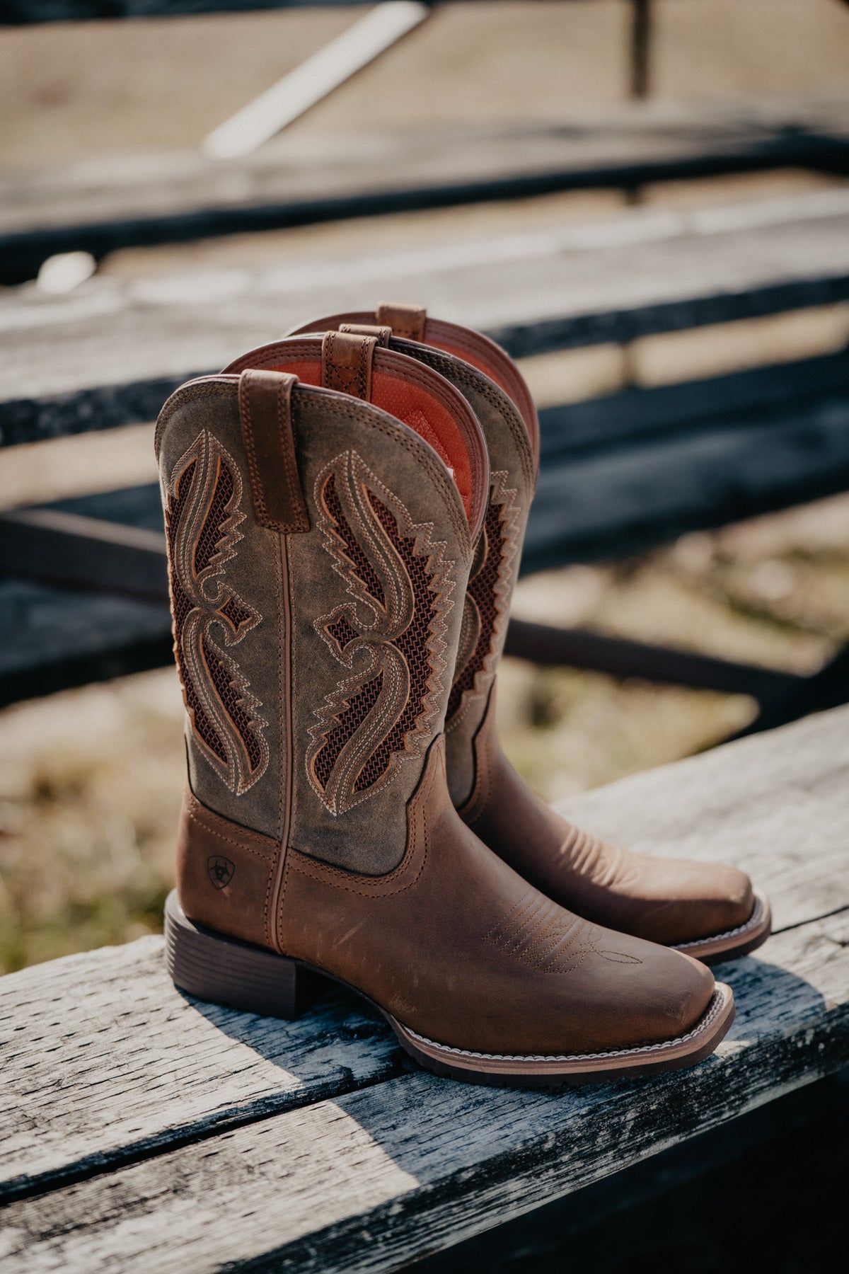 Women's Ariat Hybrid Rancher VenTek Boots (Sizes 6.5-10 B Width)