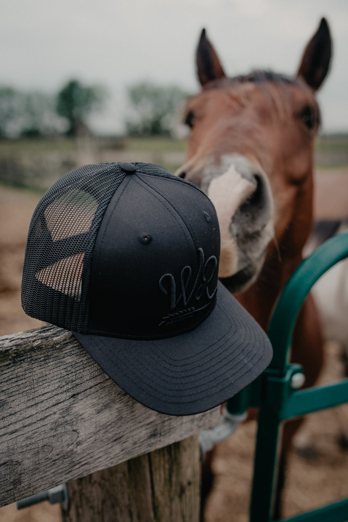 Old Reliable - Whiskey Road Hat Co