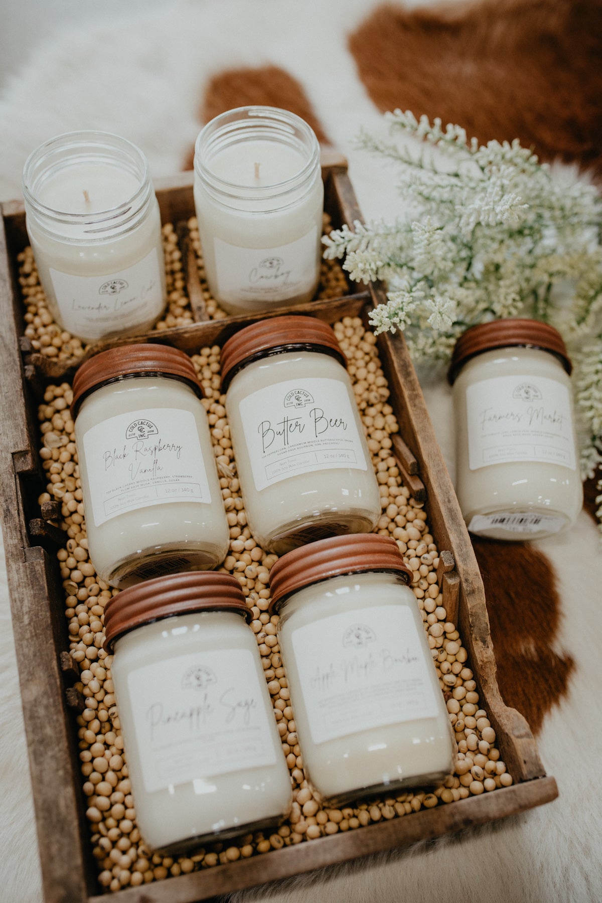 Cold Cactus Exclusive 100% Soy Wax Candles