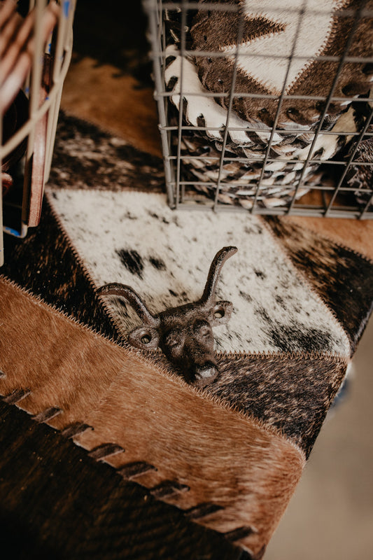 Cast Iron Bull Head Wall Hook