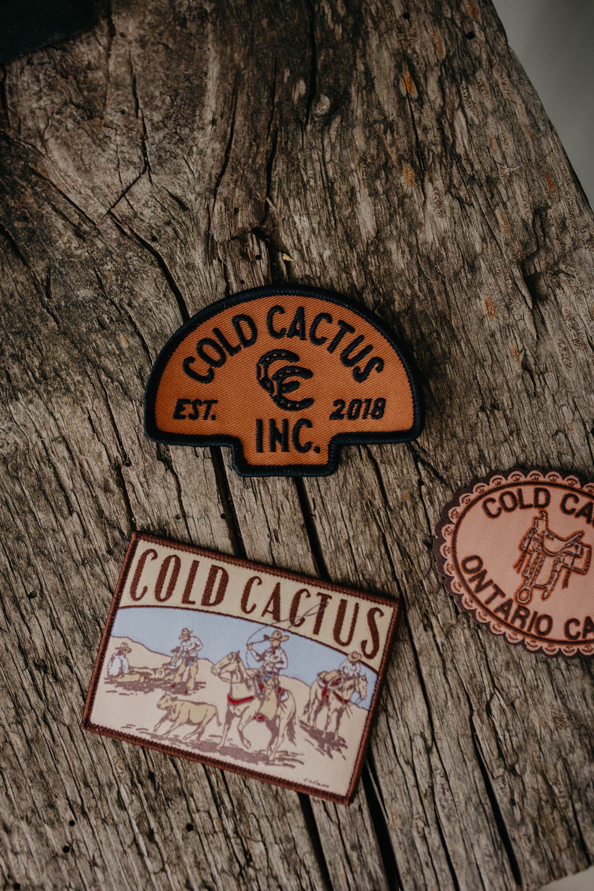 Cold Cactus Embroidered {Iron On} Patches