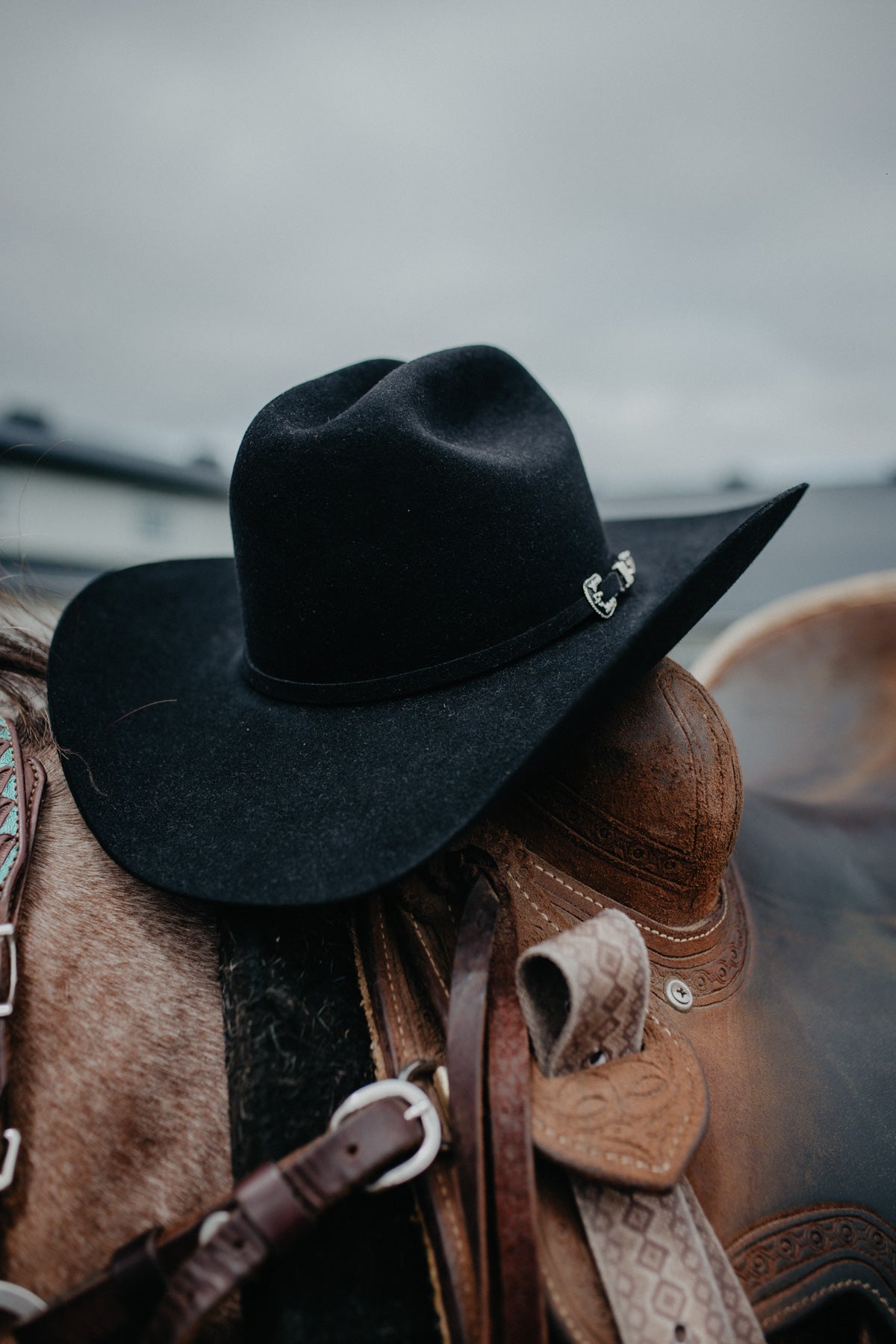 'The SP' 6X Felt Cowboy Hat by Cody Johnson X Resistol (Black)
