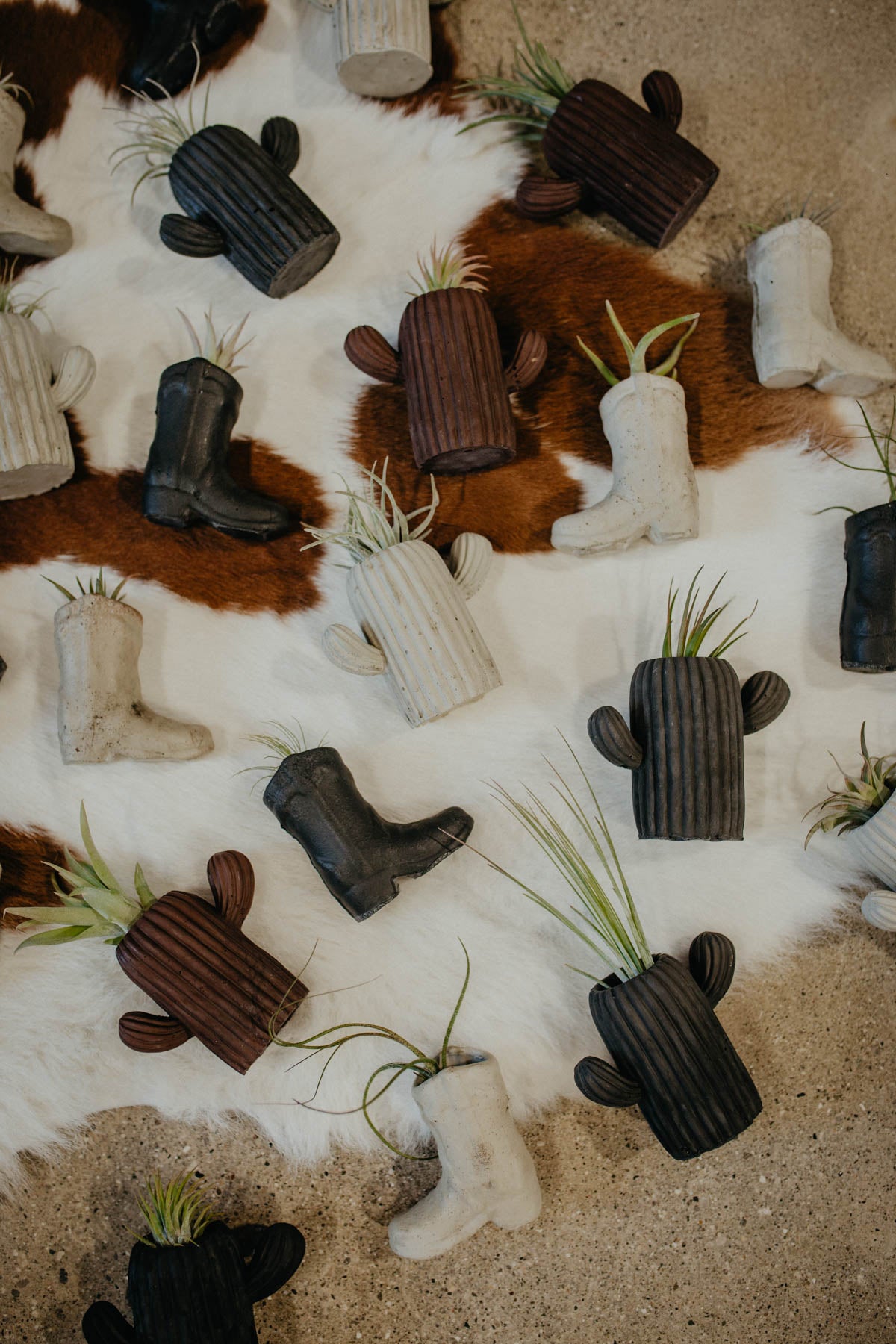 Concrete Air Plant/Matches Holder