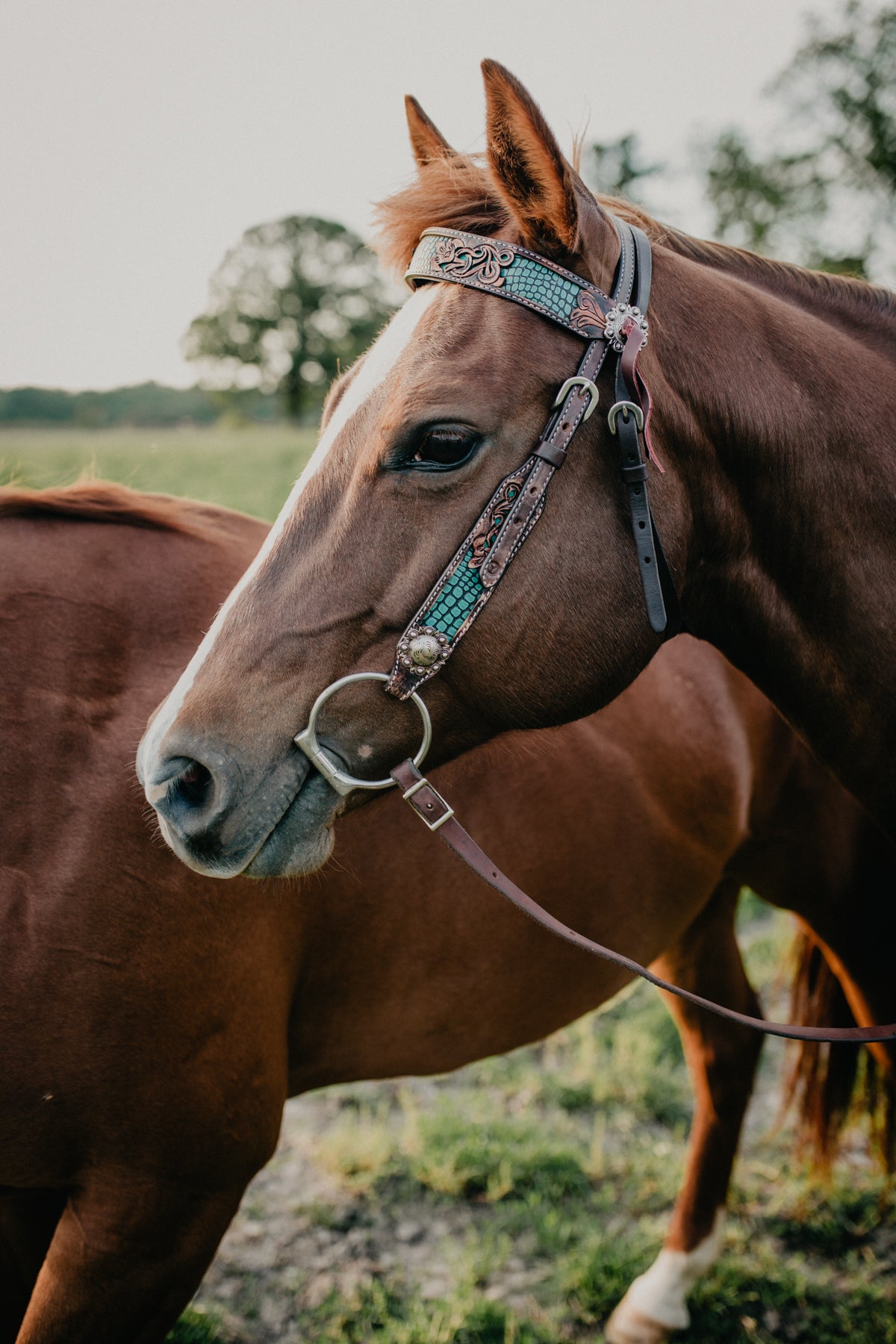 Turquoise Faux Gator and Floral Leather Tooled Browband Headstall