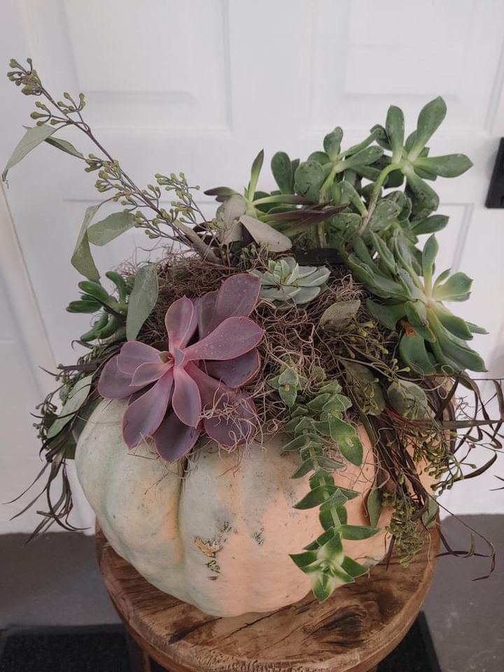 Pumpkin & Succulent OR Fresh Flower Arrangement Workshop with Fernhill Floral & Design Co. (Fri Oct 9th, 6-9pm)