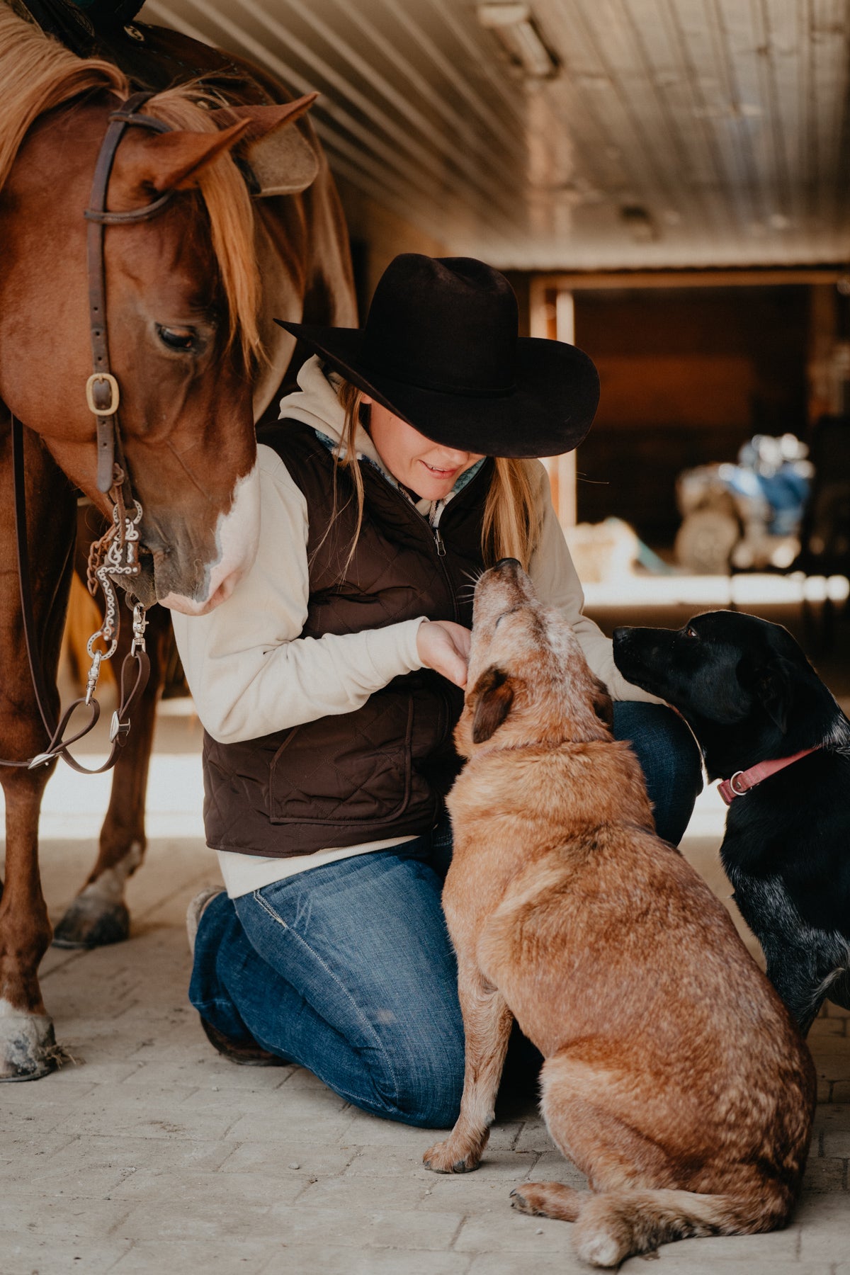 'Bryn' Ariat Women's Dilon 2.0 Reversible Vest  (L-XXL)