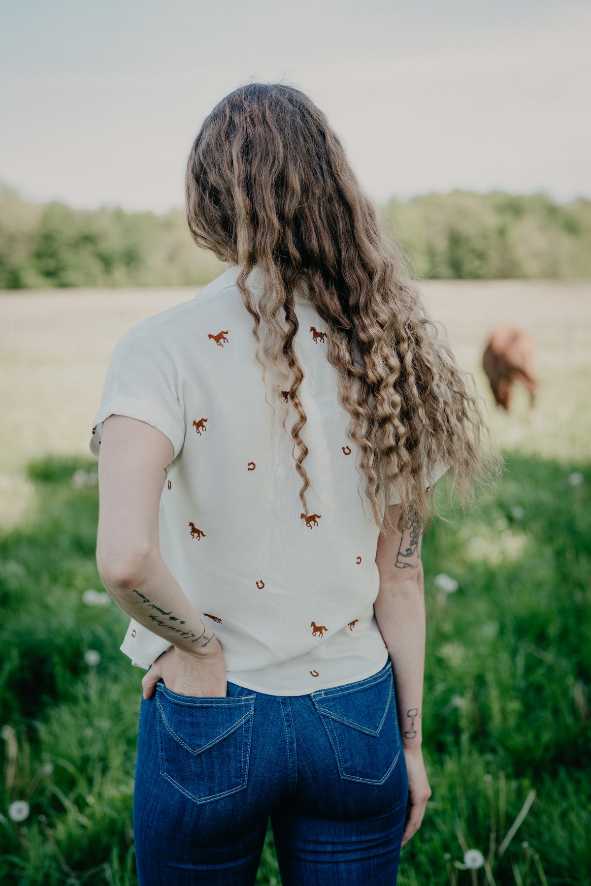 'Bryer' Horse Embroidered Short Sleeve Collared Shirt (2 Colours; S - XXL)