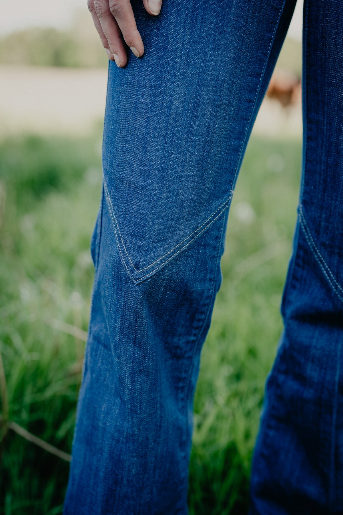 'Daisy' High Rise Slim Trouser Jean by Ariat (24-34)