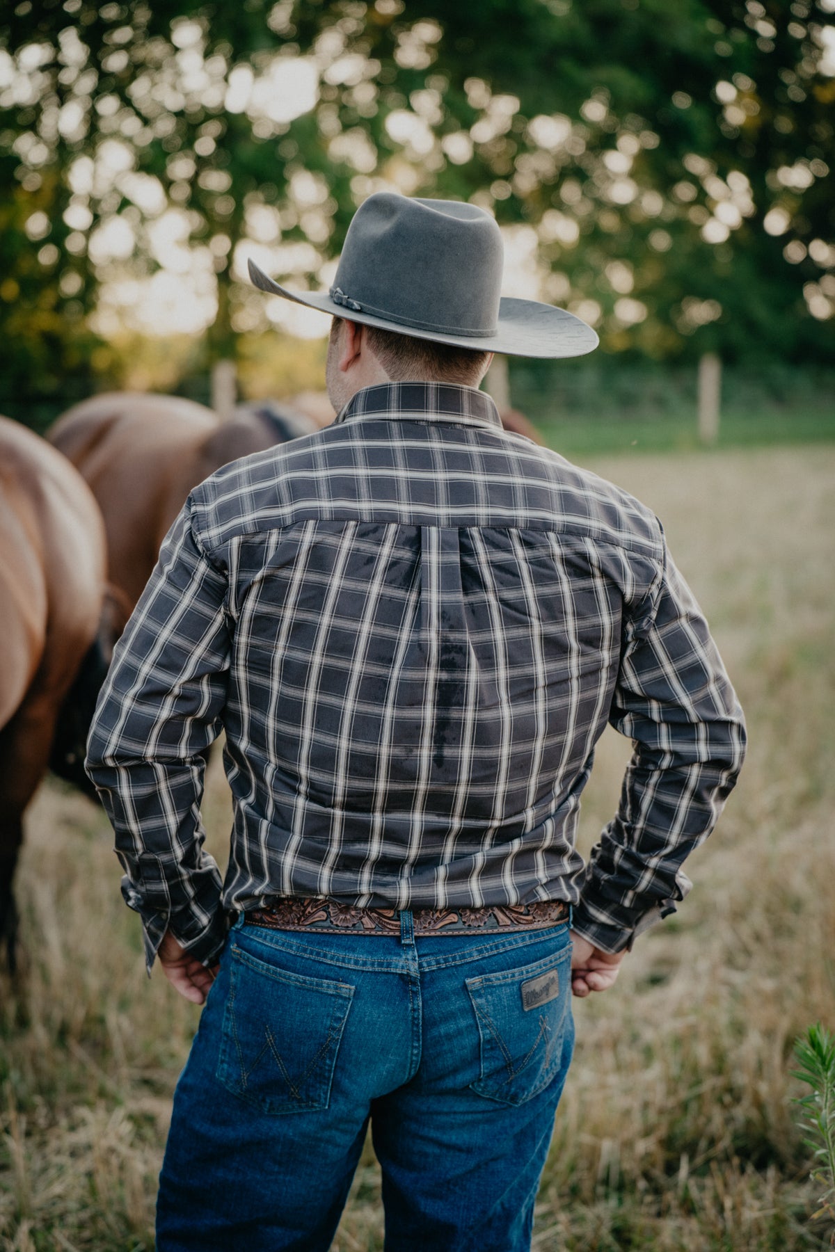 'Jones' Men's Brown Plaid Button Down Wrangler George Strait (S-XXL)