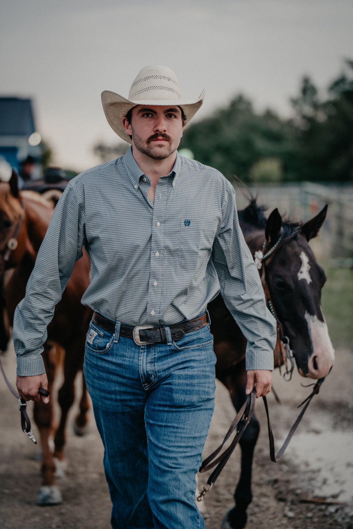 'Harley' Men's CINCH Long Sleeve Teal Button Down (S-XXL)