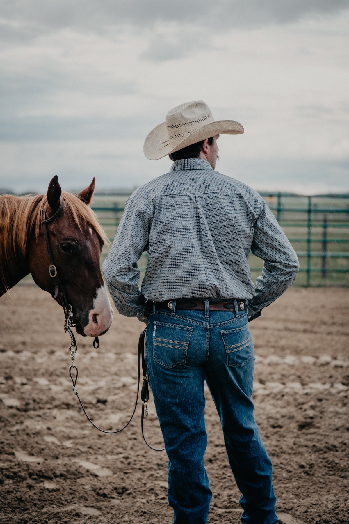'Harley' Men's CINCH Long Sleeve Teal Button Down (S-XXL)