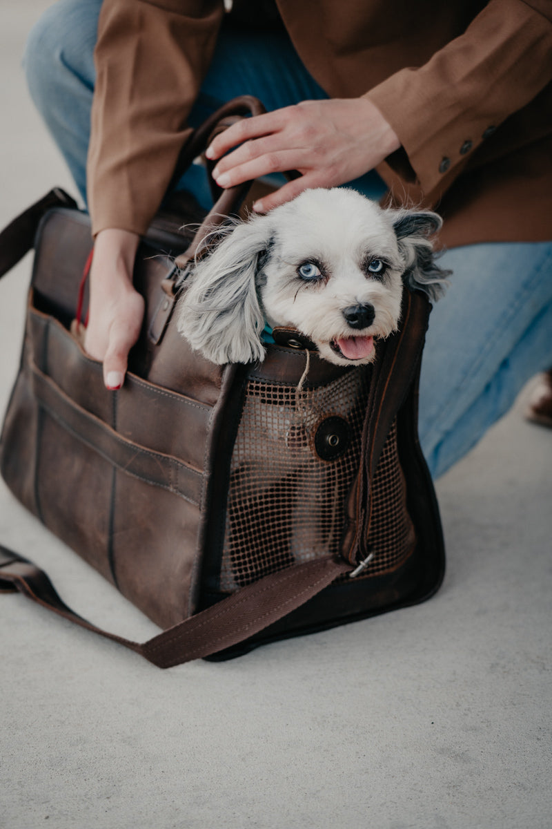 Cowhide Pet Carrier by STS Ranchwear