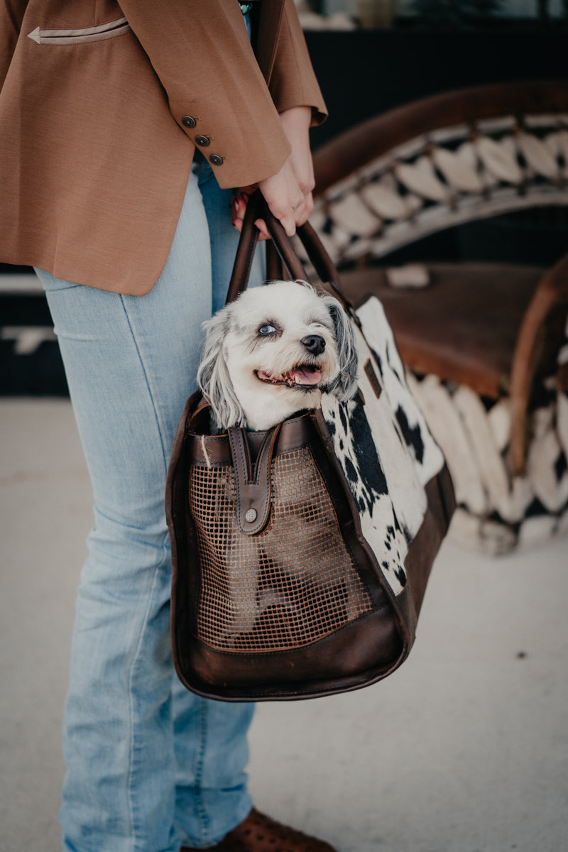Cowhide Pet Carrier by STS Ranchwear