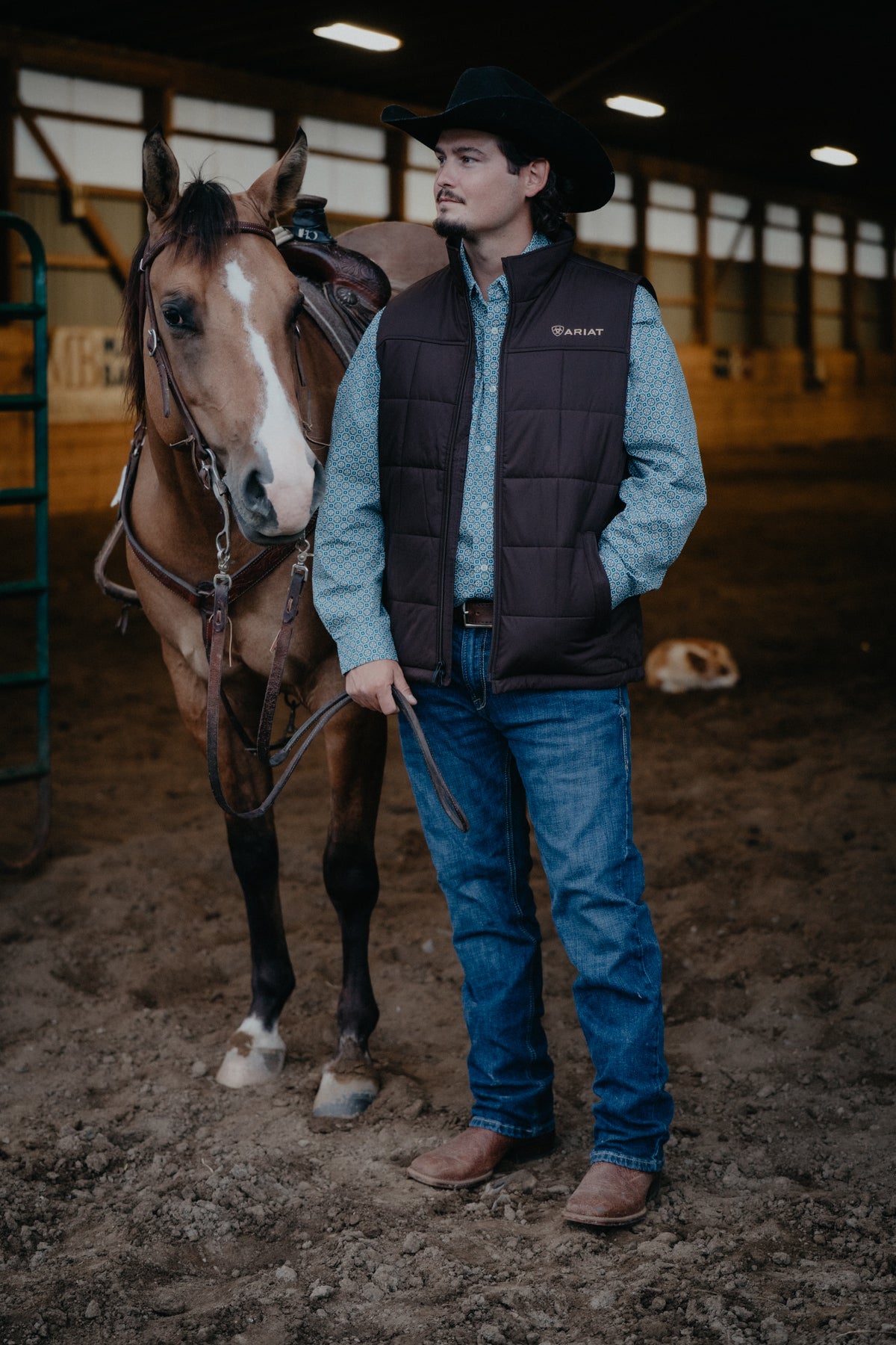 'Leroy' Men's Chocolate Brown Crius Insulated Vest (S,M, XXL ONLY)