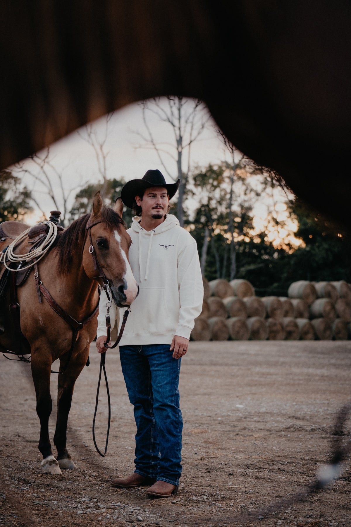 'Steerhead' Men's Ariat Shield Hoodie  (M-XXL)