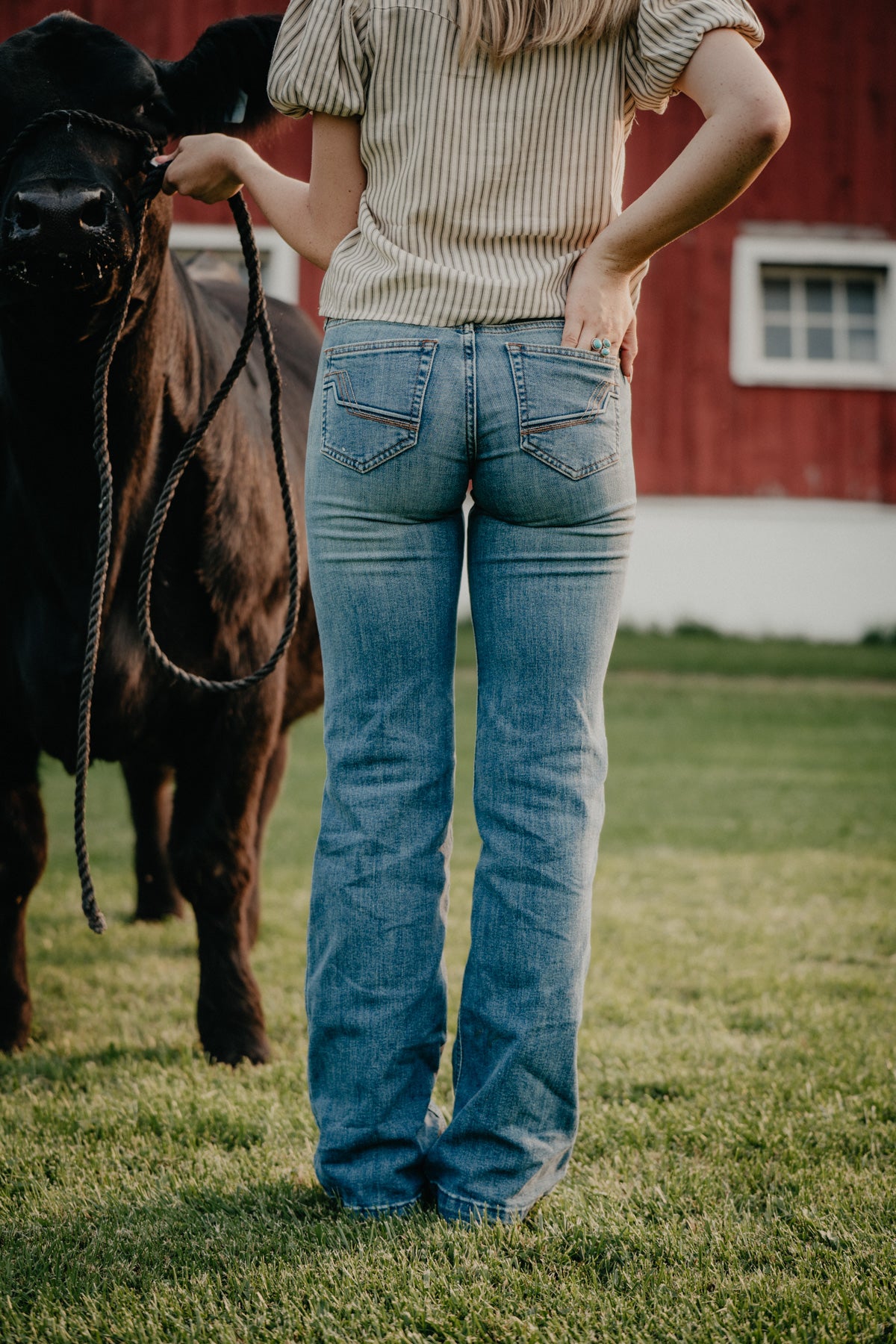 'Fabiana' Mid Wash Mid Rise Trouser by Ariat