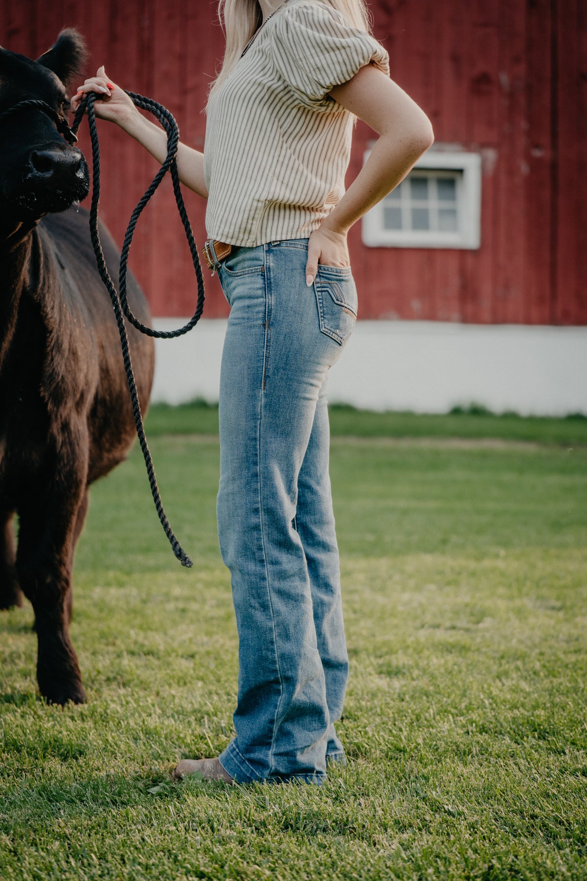 'Fabiana' Mid Wash Mid Rise Trouser by Ariat