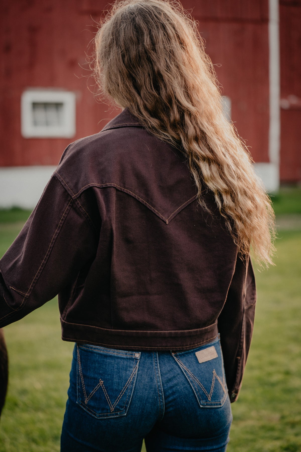 'Amelia' Women's Chocolate Plum Bomber Jacket by Ariat