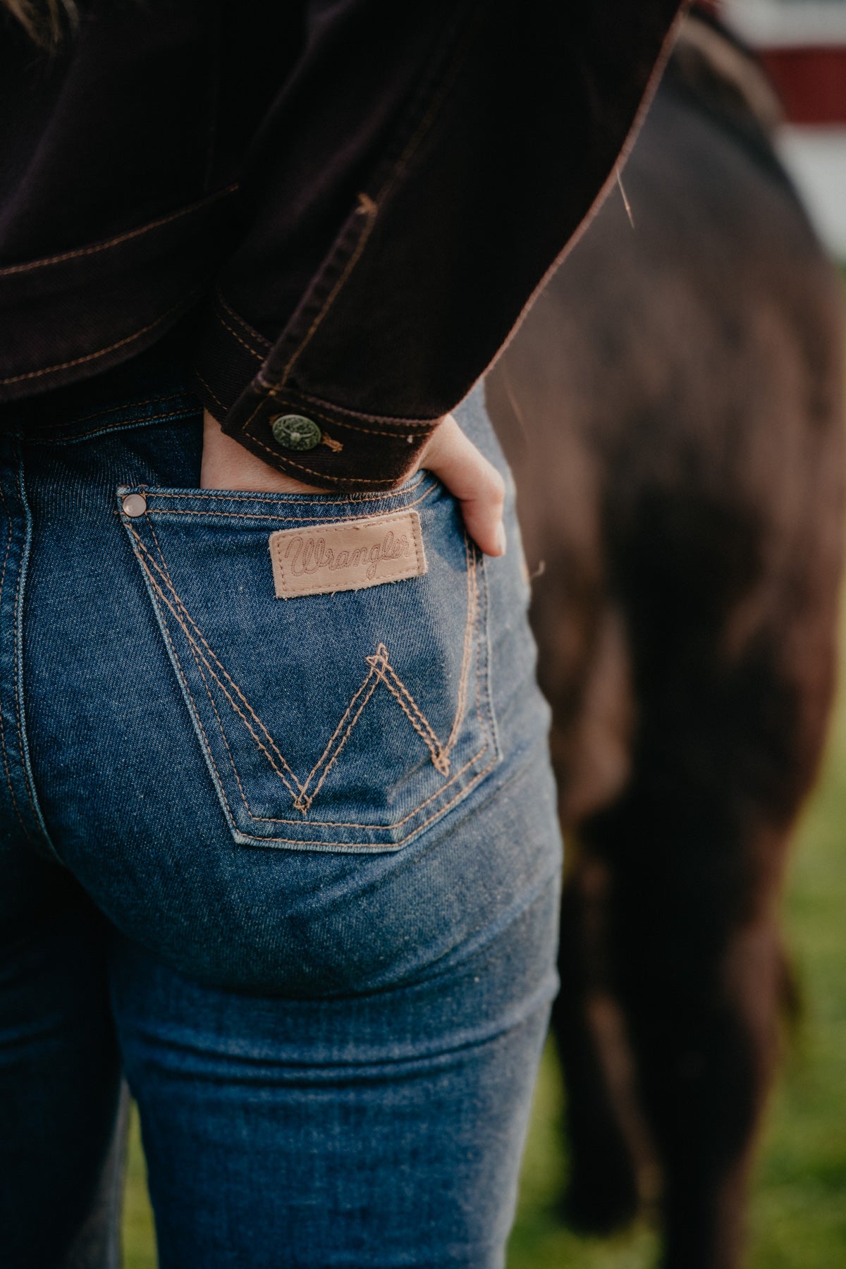 'Emerie' Dark Wash High Rise Bell Rodeo Trouser by Wrangler (24-35)