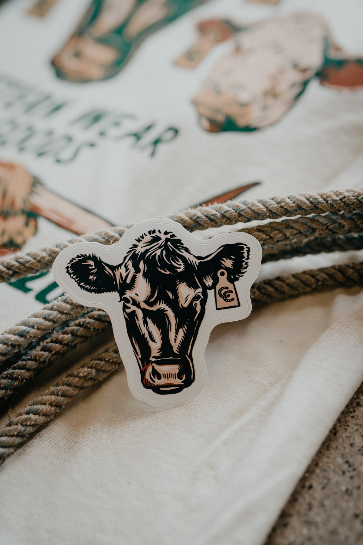 CC Exclusive Stickers **ADD ON ITEM ONLY**