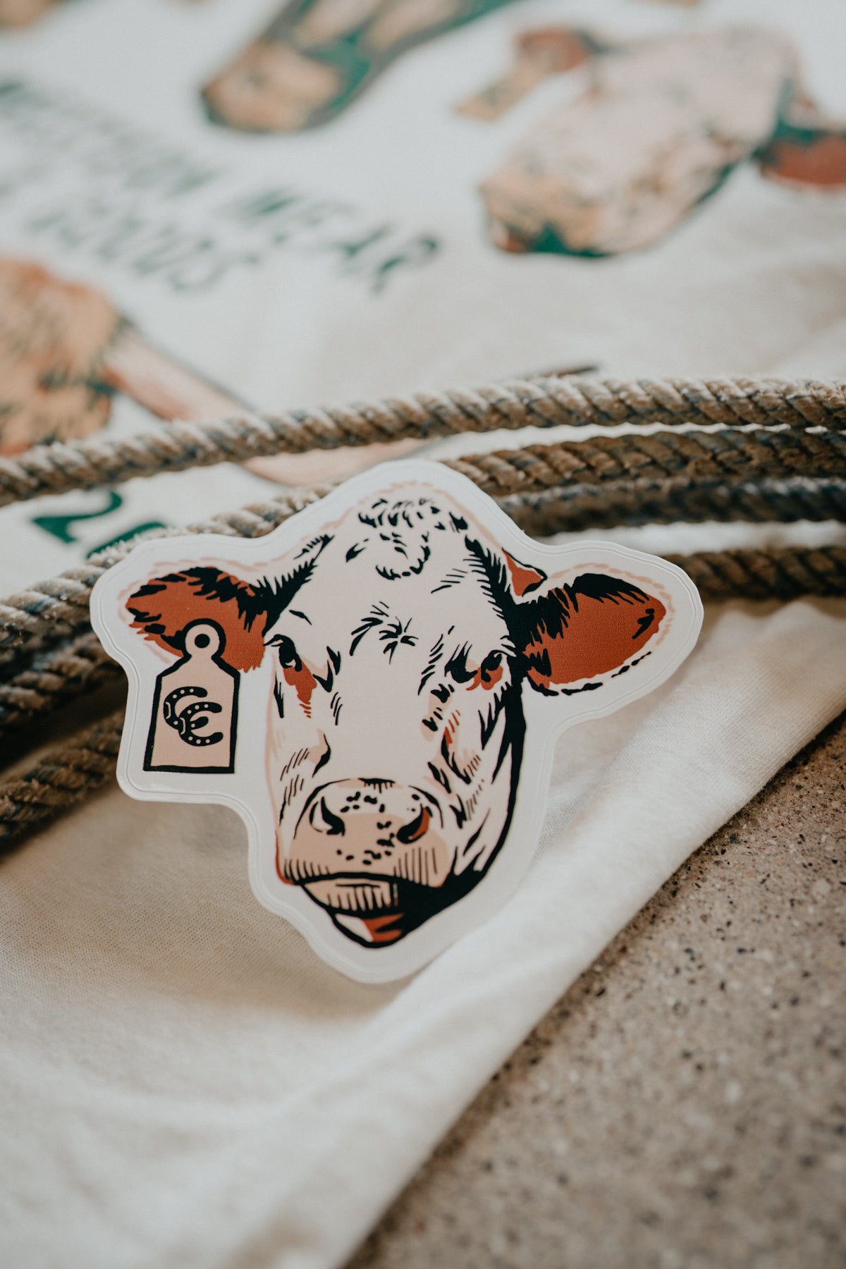 CC Exclusive Stickers **ADD ON ITEM ONLY**