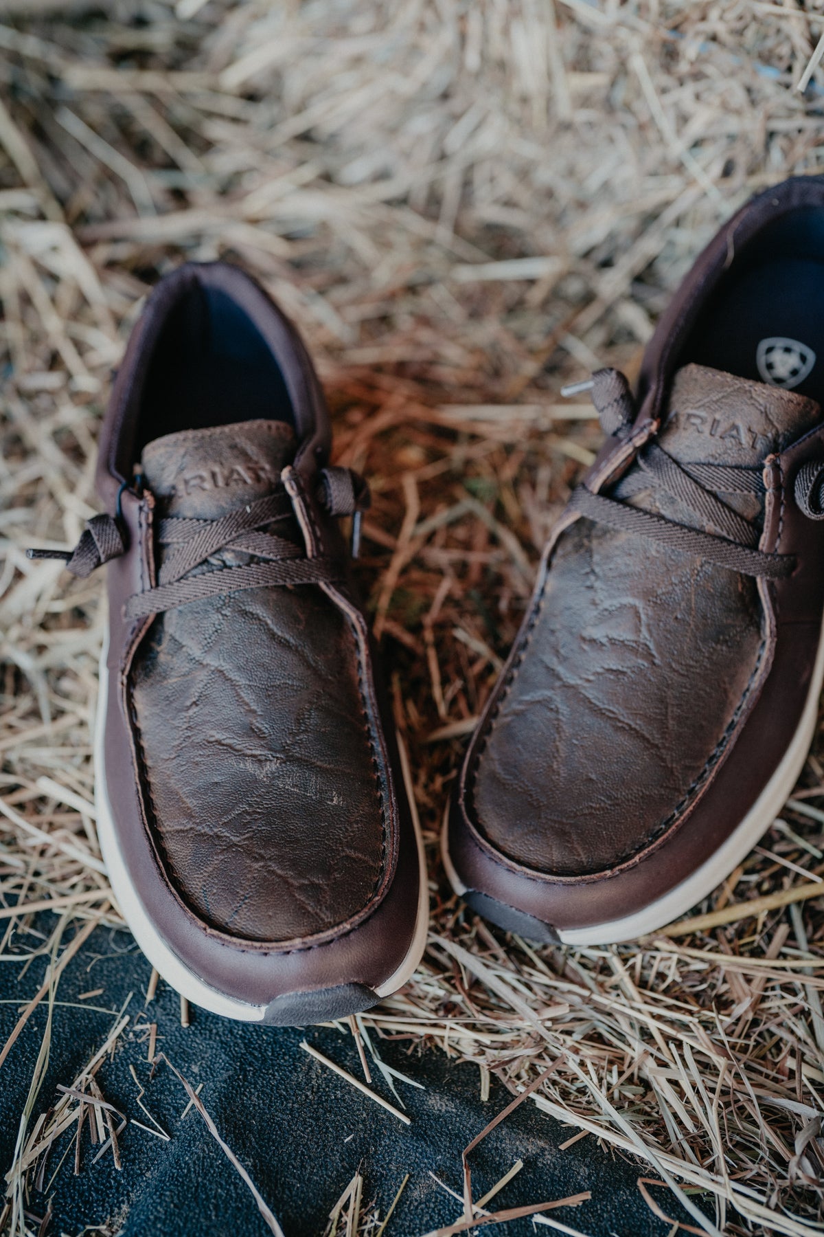 'Buckeye' Men's H20 Casual Shoe by Ariat (9-13; D & EE Widths)