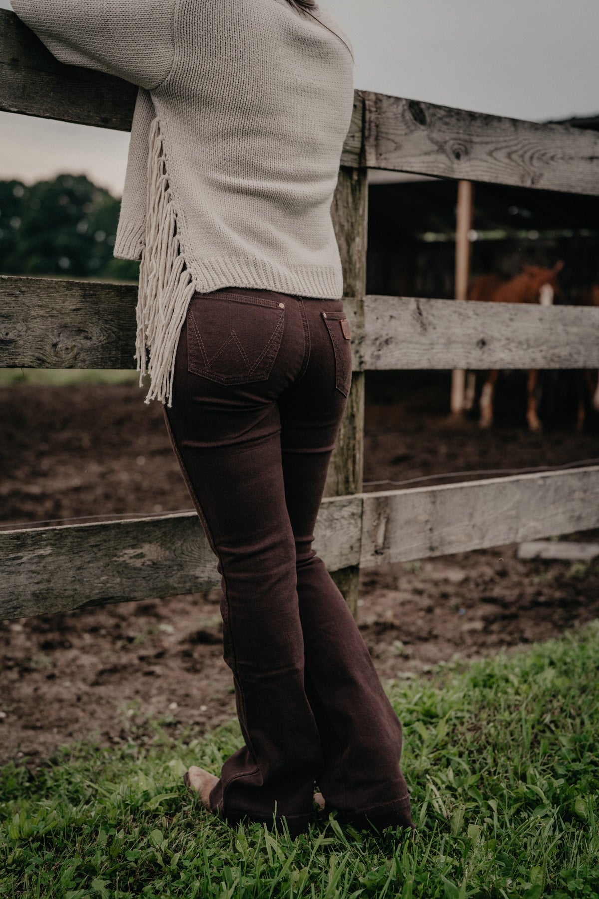 'Ciera' Chocolate Retro Bailey High Rise Trouser by Wrangler
