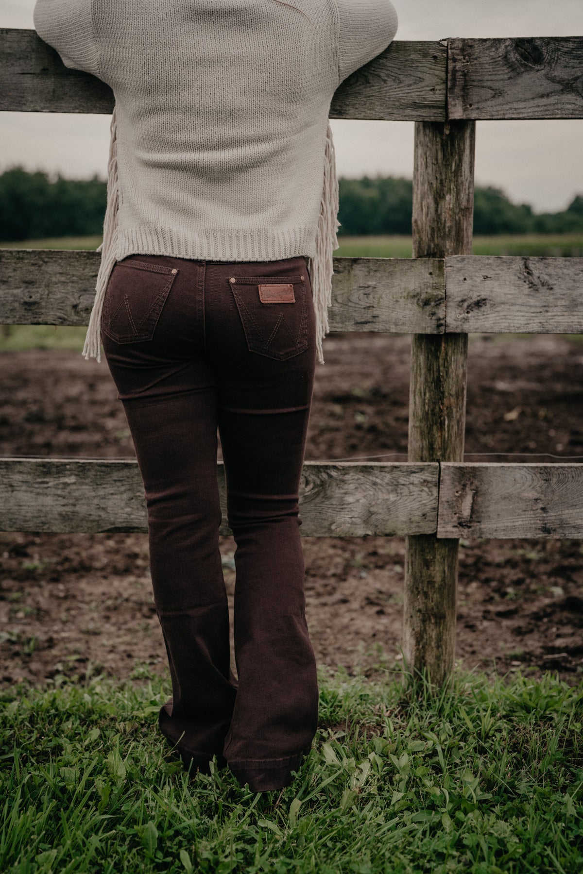 'Ciera' Chocolate Retro Bailey High Rise Trouser by Wrangler