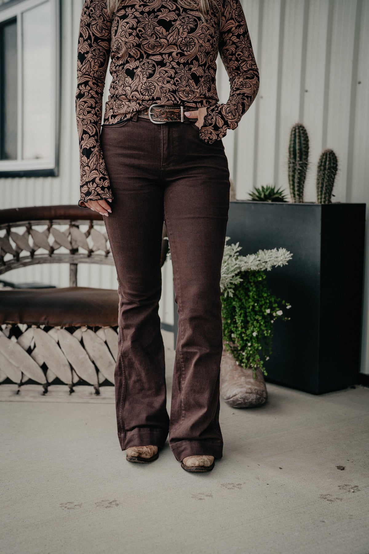 'Ciera' Chocolate Retro Bailey High Rise Trouser by Wrangler