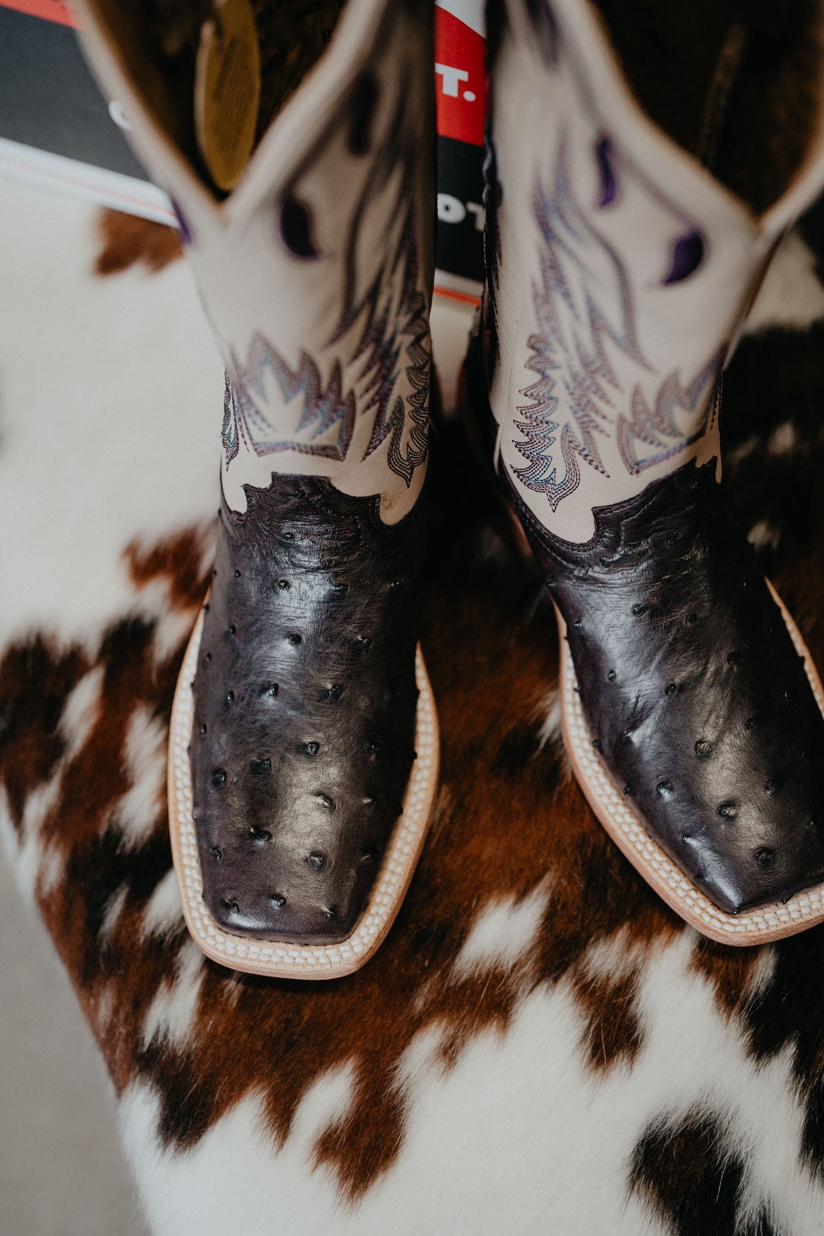 'Harper' 13" Hyer Women's Deep Purple Ostrich Boots (Sizes 6-10; B Width)