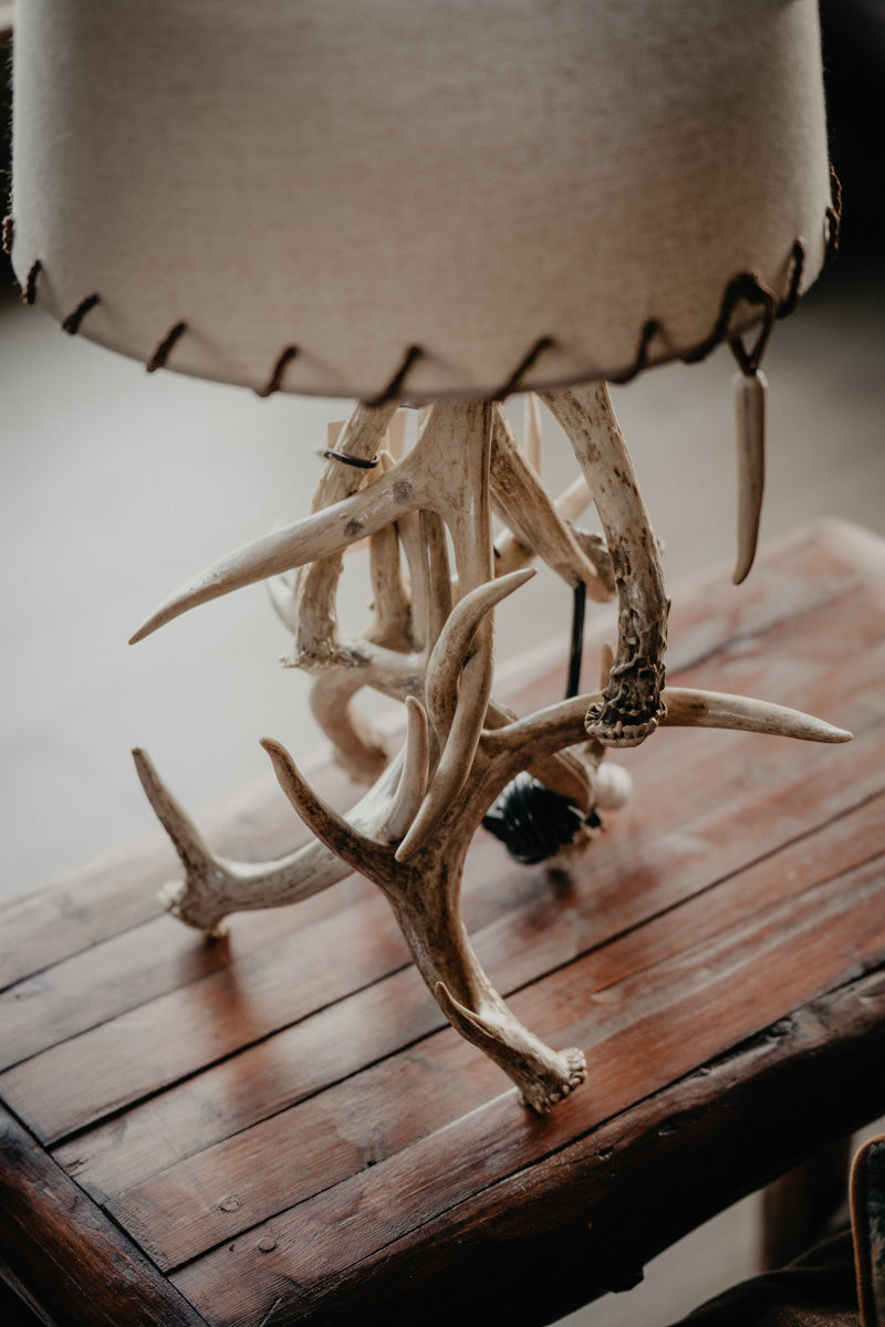 Authentic White-tailed Deer Antler Cluster Table Lamp with Shade