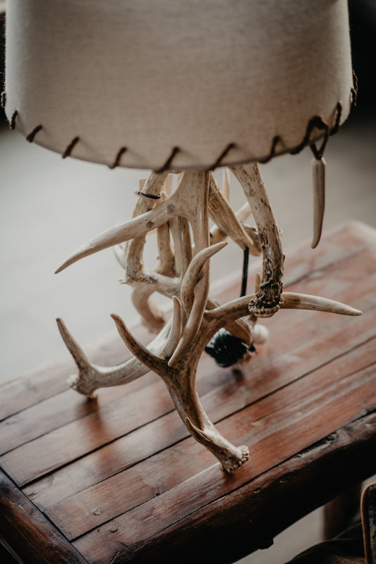 Authentic White-tailed Deer Antler Cluster Table Lamp with Shade