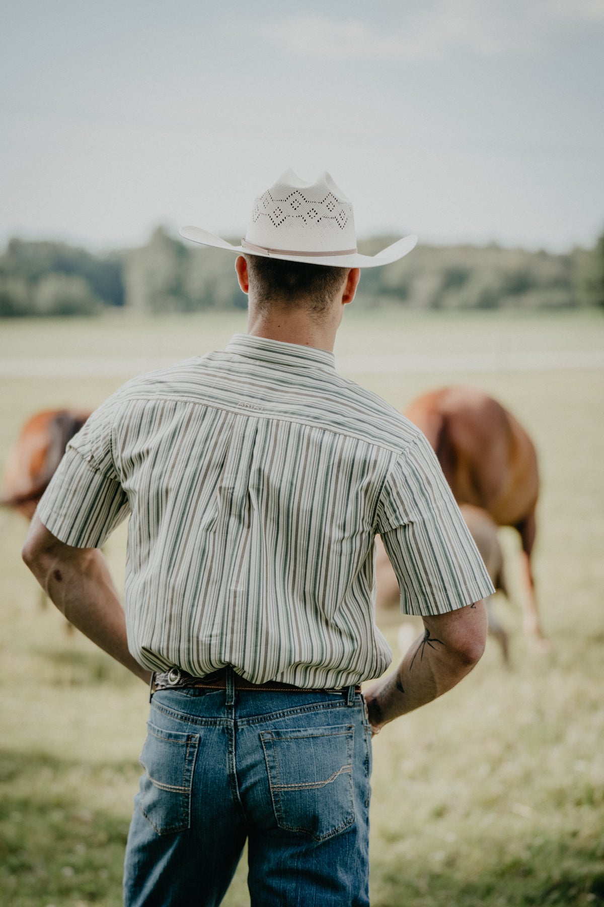 'Porter' Men's Ariat Short Sleeve Green Pin Stripe Button Down