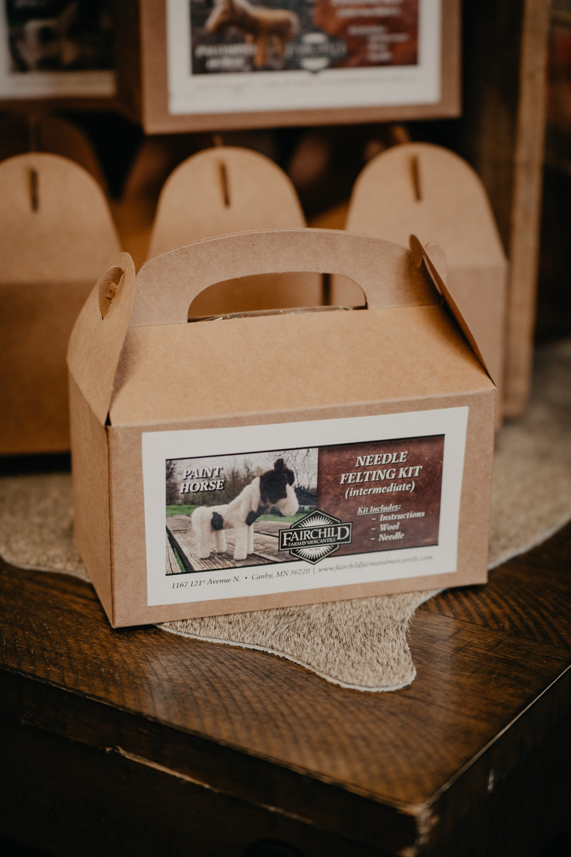 Paint Horse Needle Felting Kit