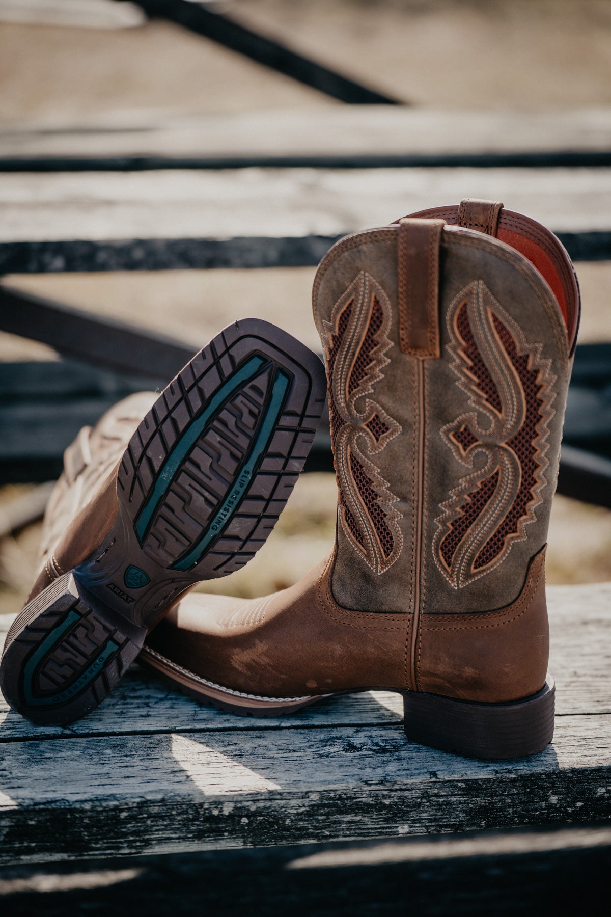 Women's Ariat Hybrid Rancher VenTek Boots (Sizes 6.5-10 B Width)