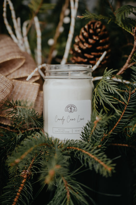 Cold Cactus Exclusive 100% Soy Wax Candle