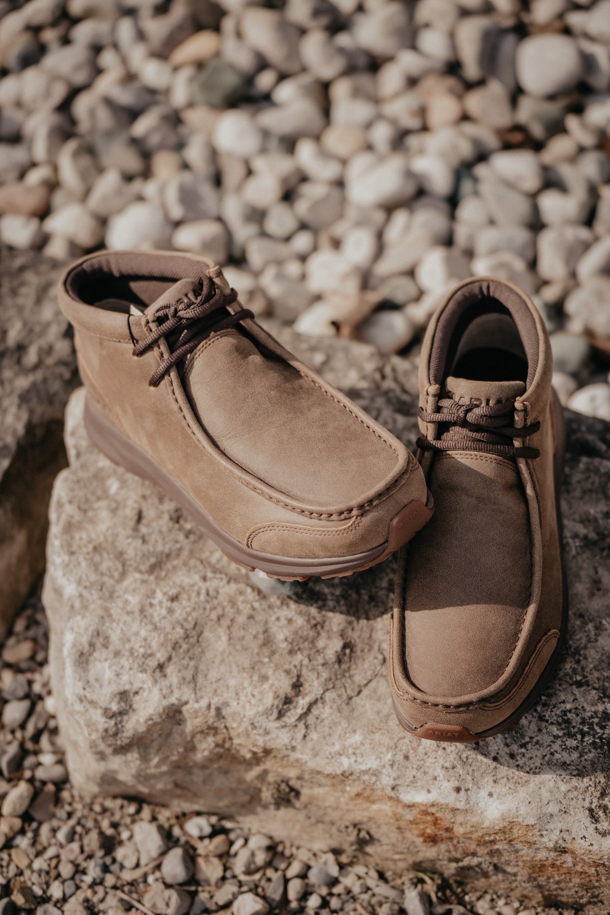 Men's Ariat Brown Bomber Spitfire (8.5, 10.5, 11.5 EE Width)