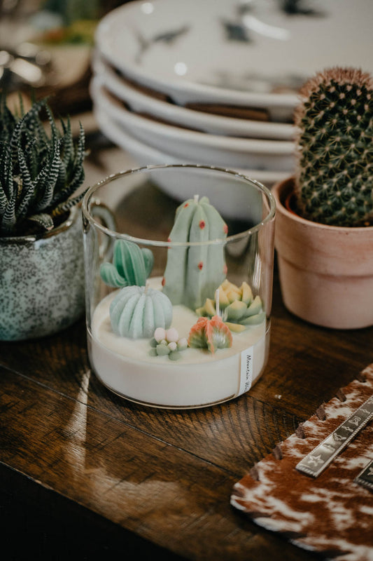 Large 3-Wick Cactus Terrarium Candle (Mountain Walk Scented)