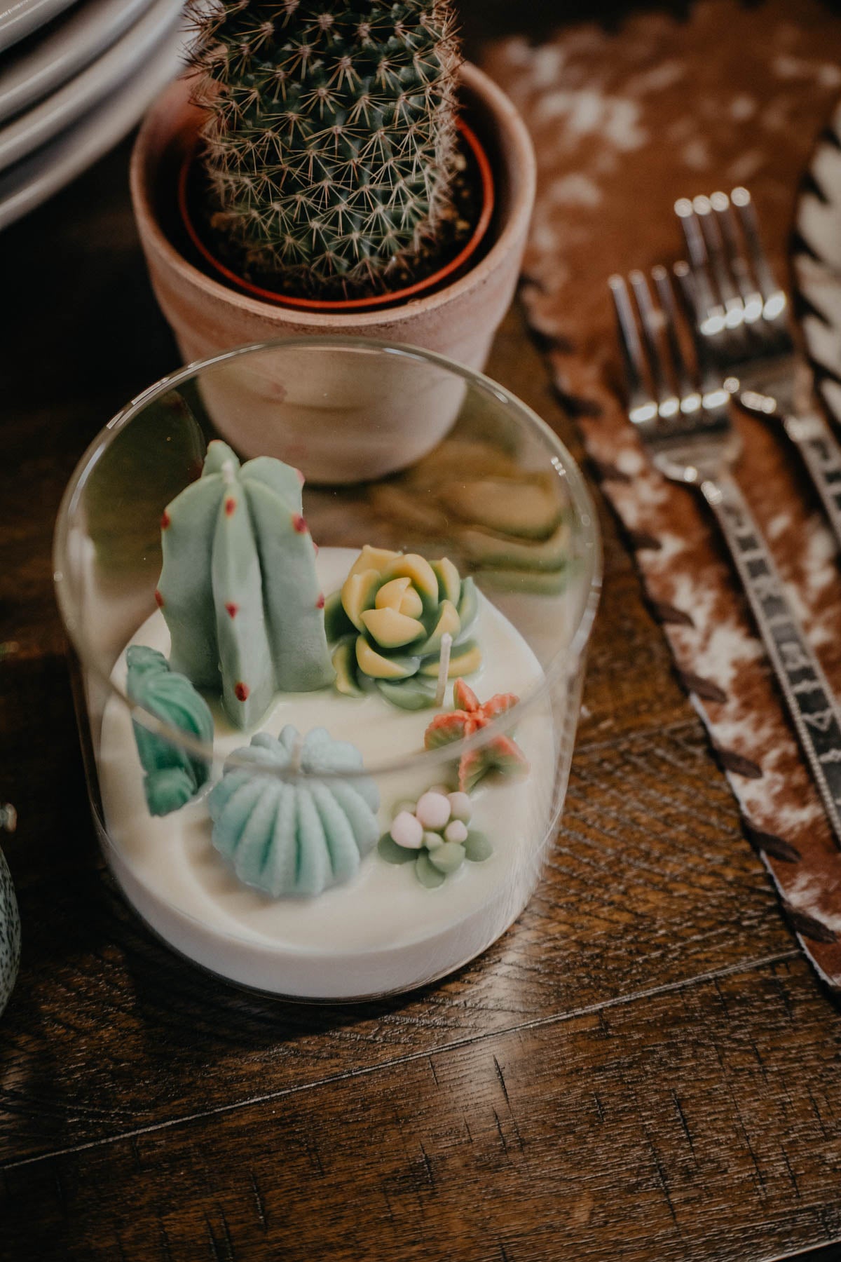 Large 3-Wick Cactus Terrarium Candle (Mountain Walk Scented)