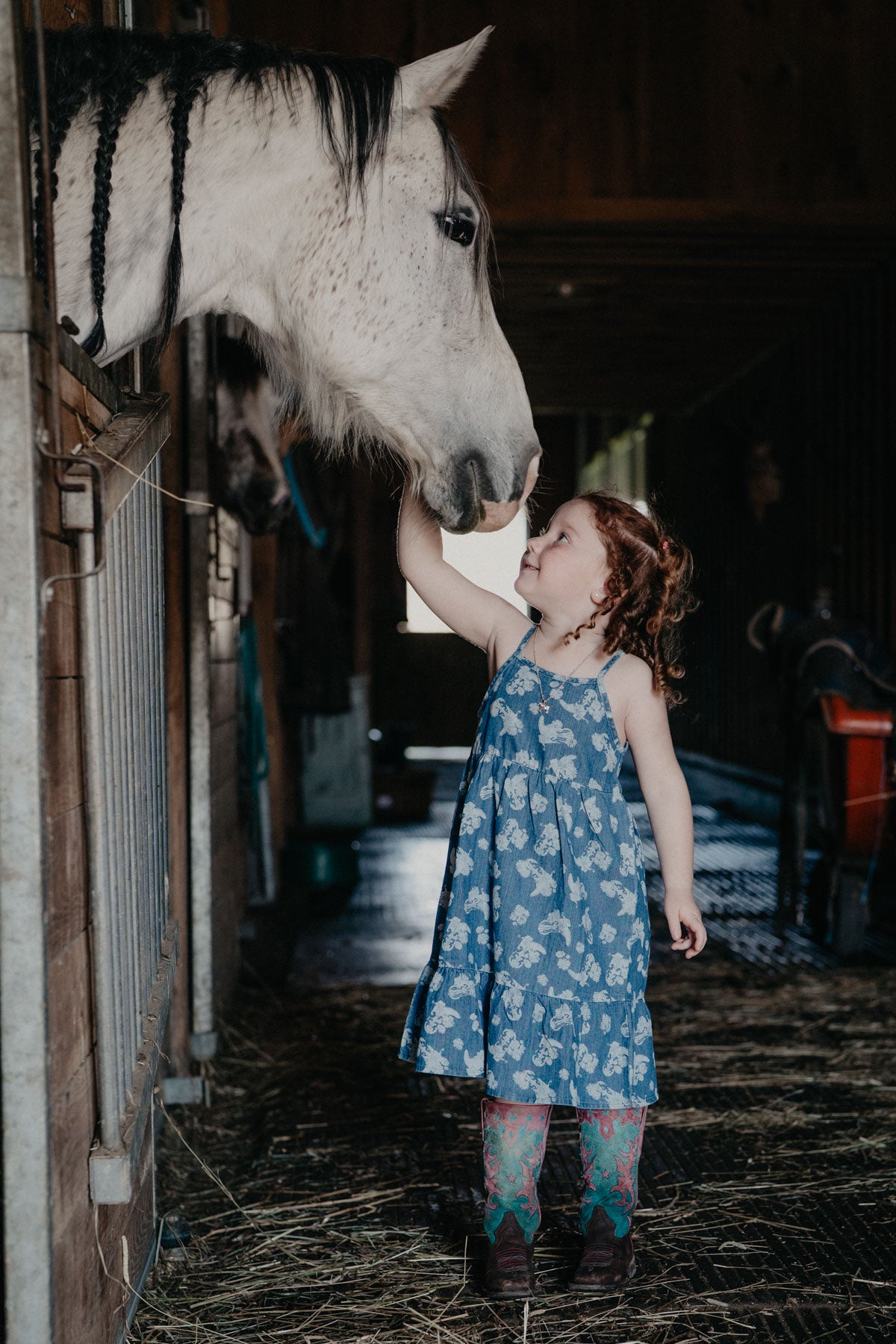 'Bree' Wrangler Girl's Denim Sleeveless Denim Boot Print Snap Dress (0-3m-XL)