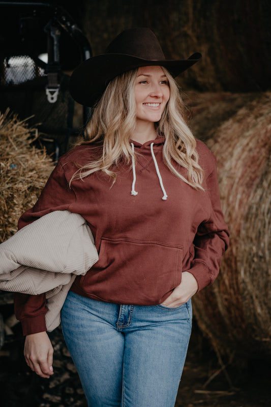 Coastal View Sandalwood Hoodie by Z Supply (XS-L)