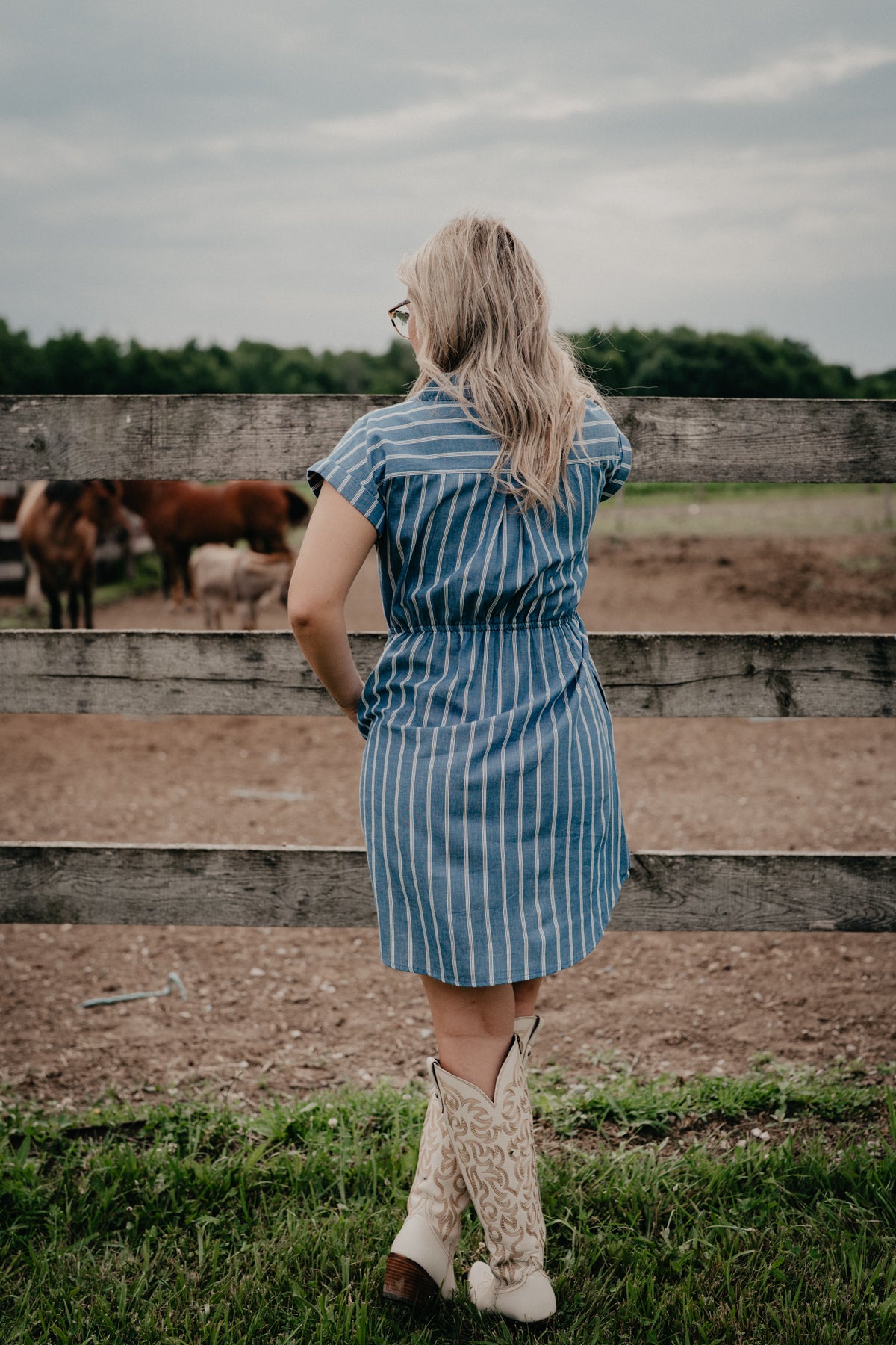 'Carla' Blue/White Striped Shirt Dress (S - XL)