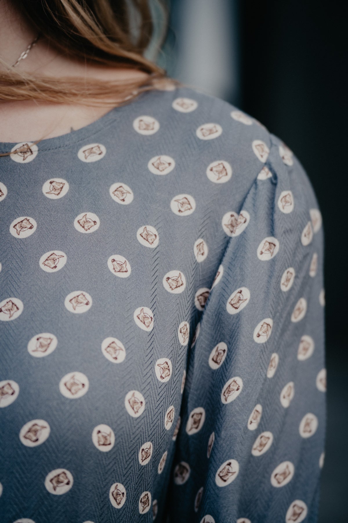 'Horse Pennies' Womens Stetson Dress (XS-L)