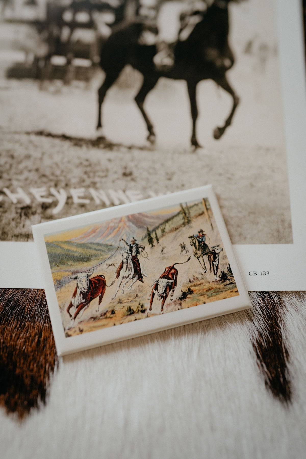 Vintage Western Magnets (Various Prints)
