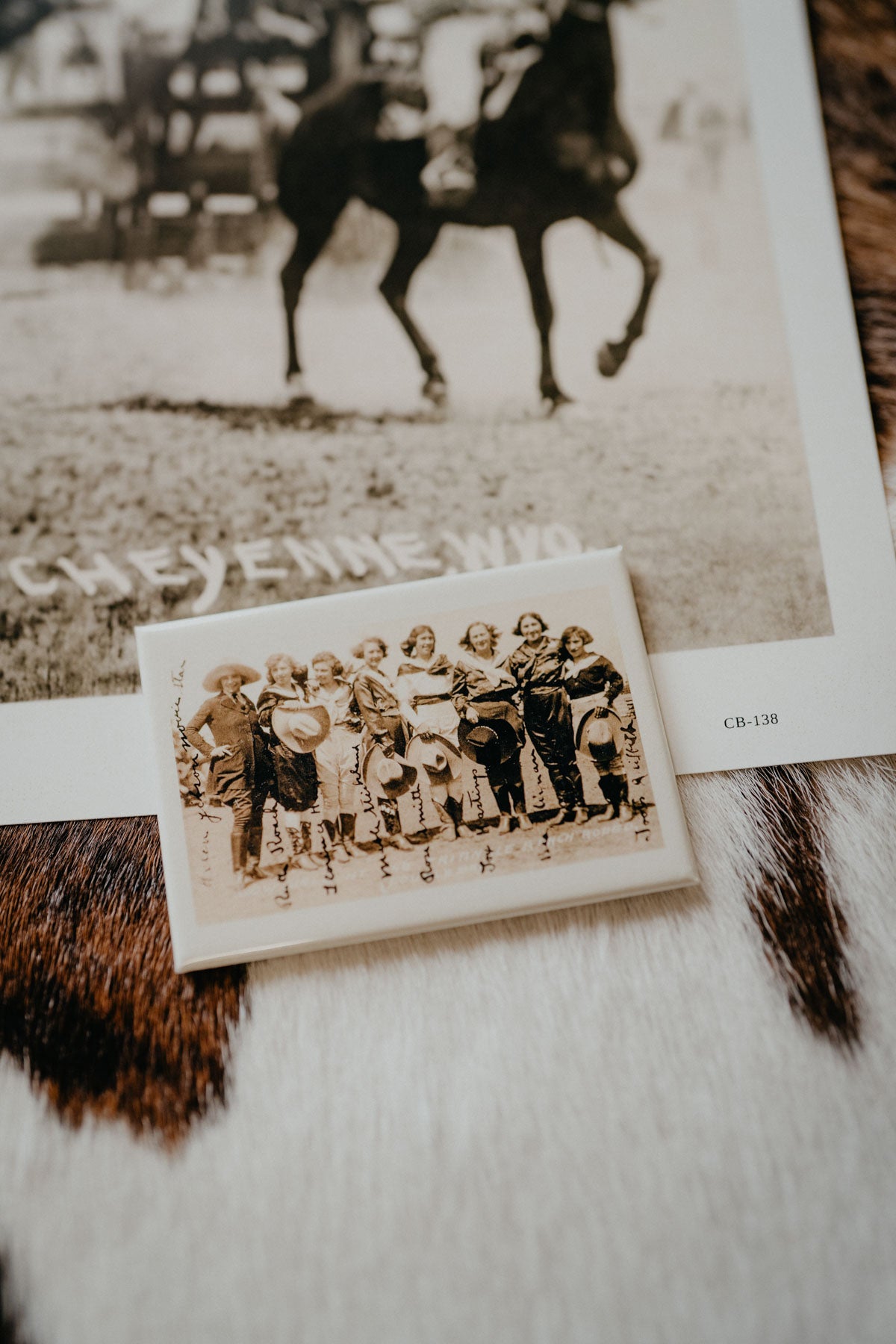 Vintage Western Magnets (Various Prints)