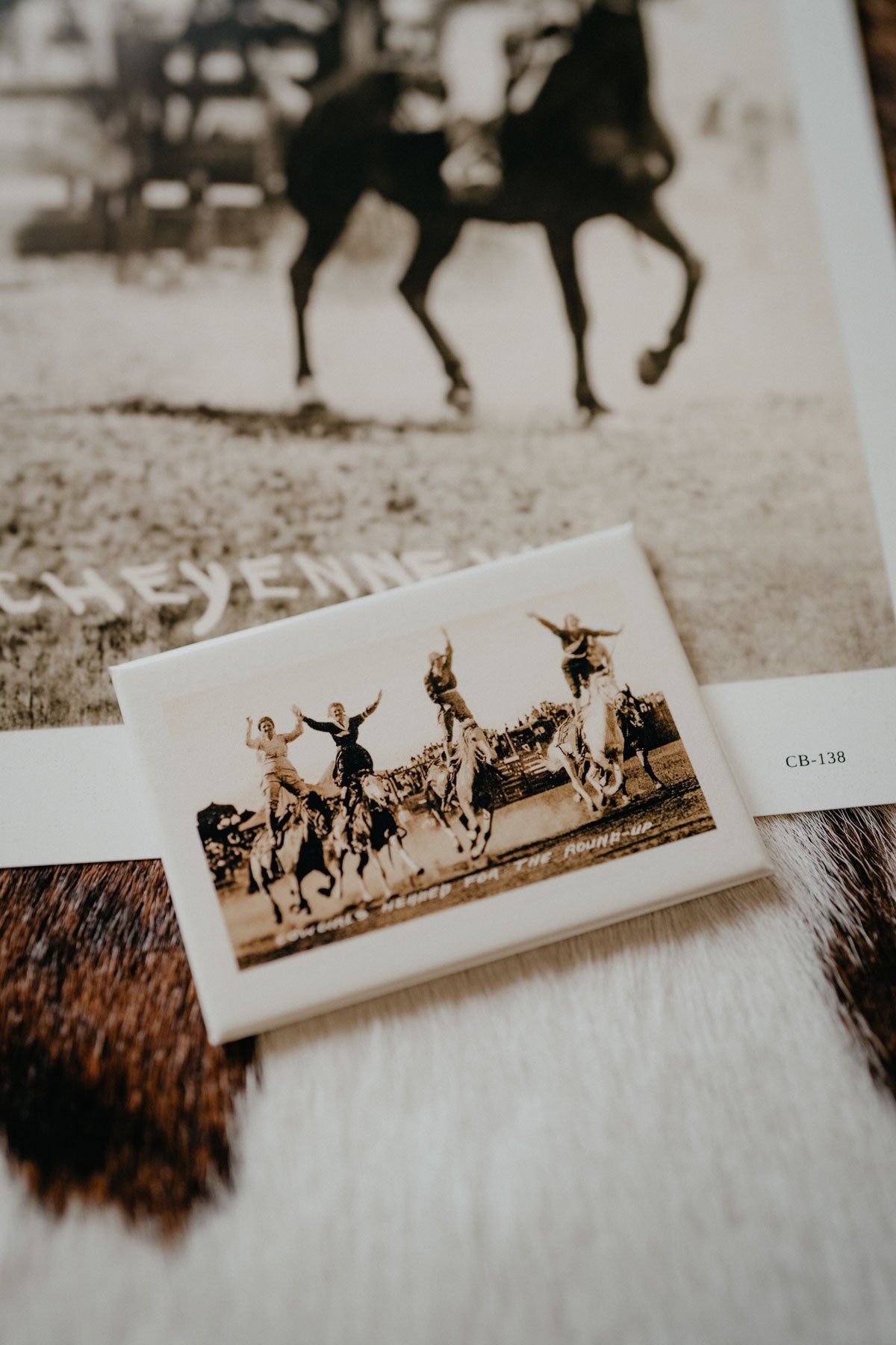 Vintage Western Magnets (Various Prints)