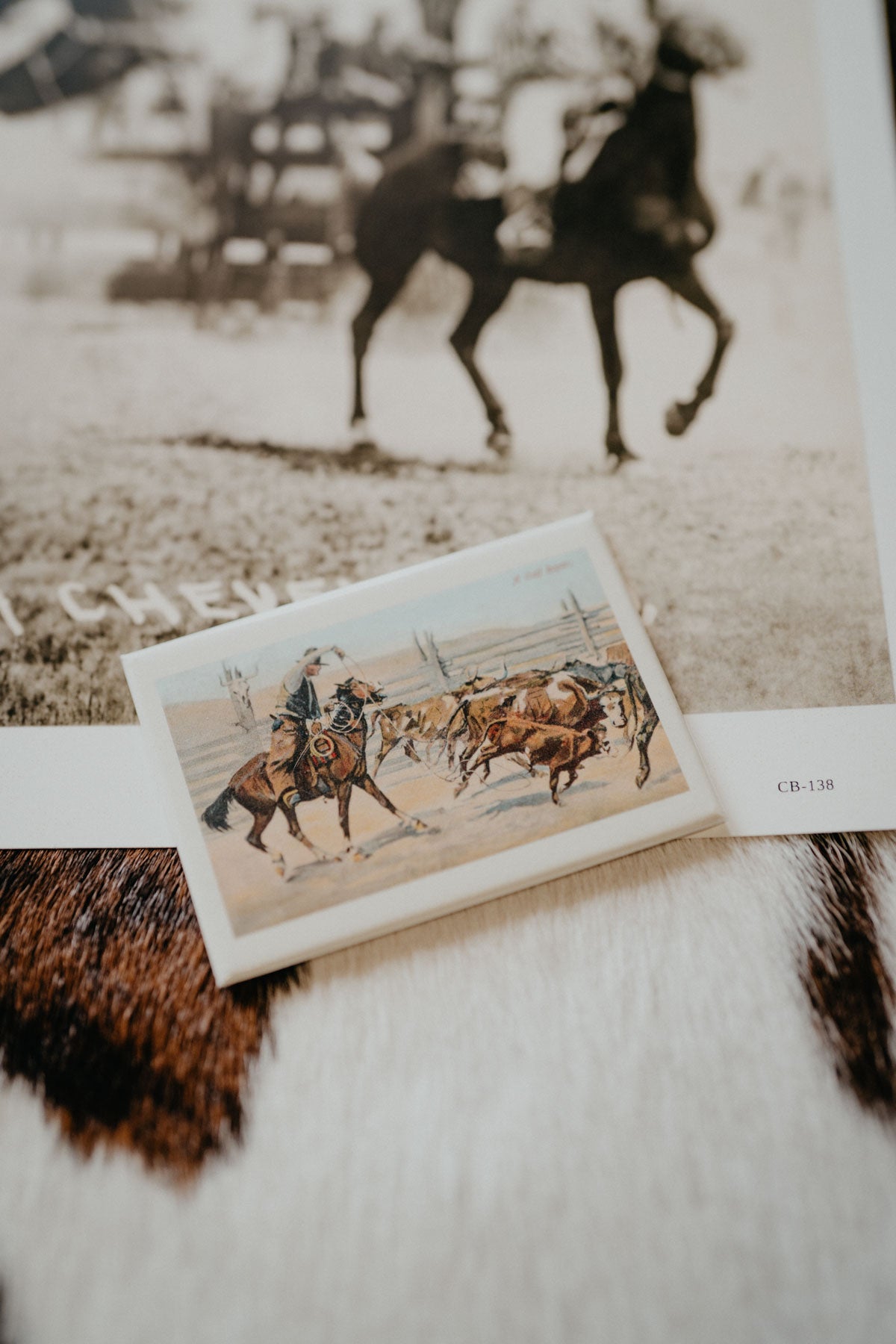 Vintage Western Magnets (Various Prints)